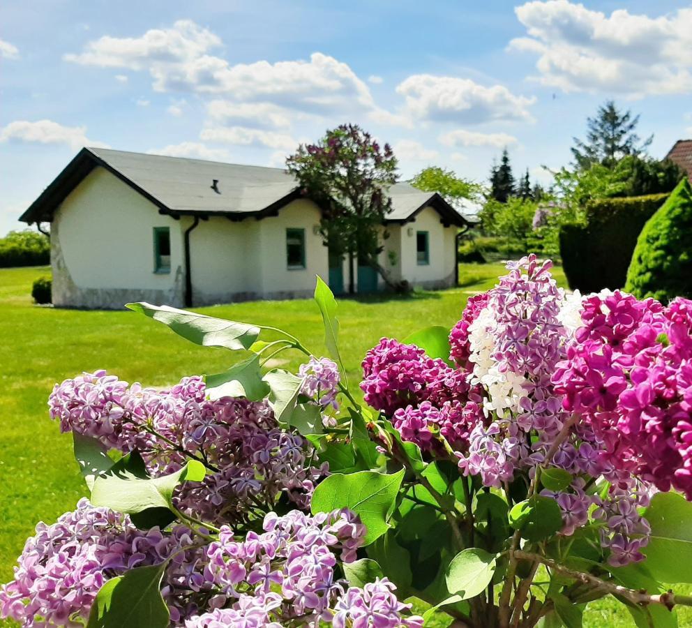 Pension Landhaus Teichgraf Wolgast Eksteriør billede